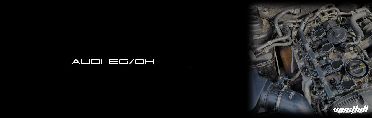 有限会社ウエストヒル アウディ エンジンオーバーホール アイキャッチ画像
