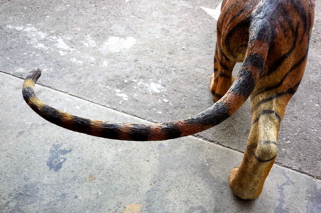 有限会社ウエストヒル 解決事例 遊園地の動物型置物 画像 5